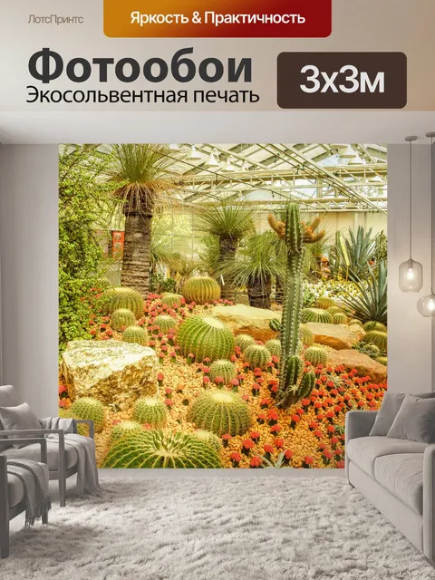 Фотообои Кактус пустынное растение