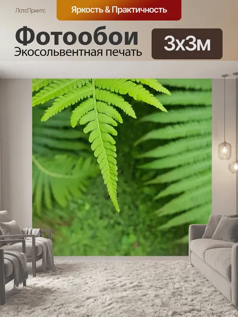 Фотообои Папоротник