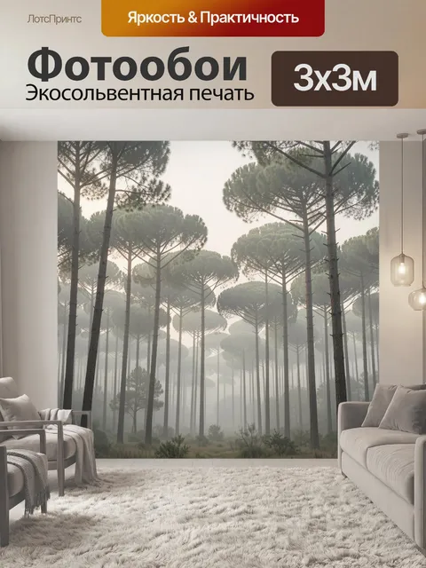 Фотообои Туманный сосновый лес