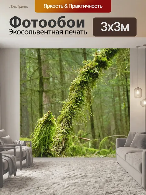 Фотообои Лес