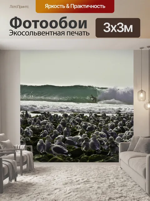 Фотообои Аудитория Чайки