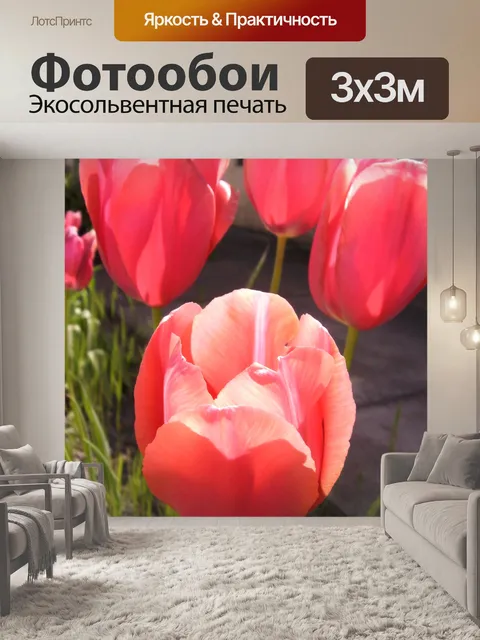 Фотообои Тюльпаны