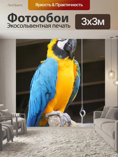 Фотообои Синий и золотой ара