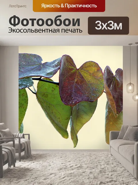 Фотообои Листья