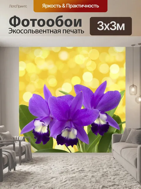 Фотообои Орхидея
