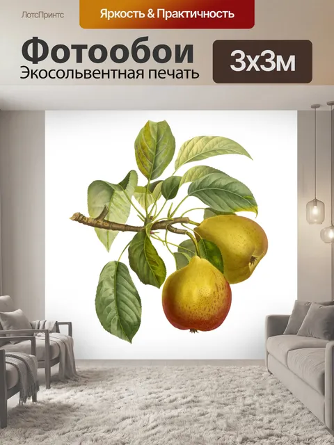 Фотообои Плоды груши винтажные