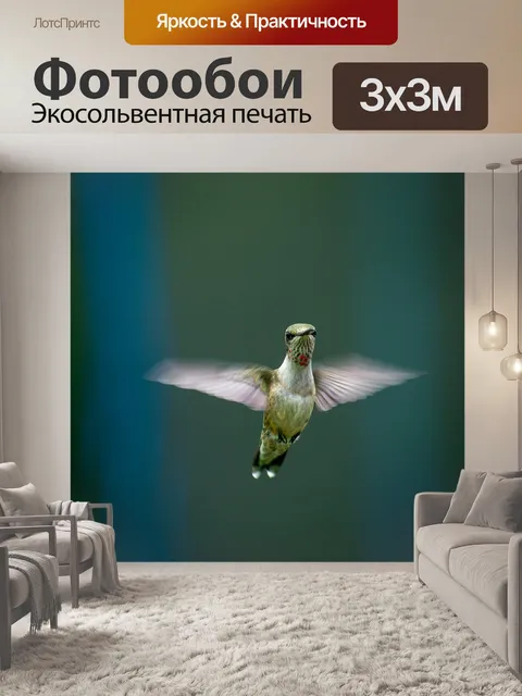 Фотообои Птица