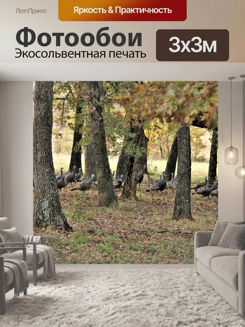 Фотообои Дикая Турция в осеннем лесу