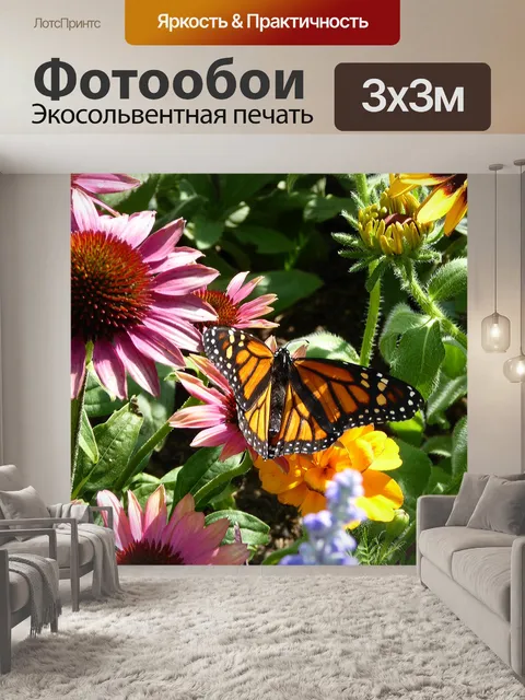 Фотообои Монарх Бабочка на цветы