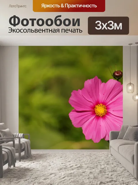 Фотообои Розовые Космос