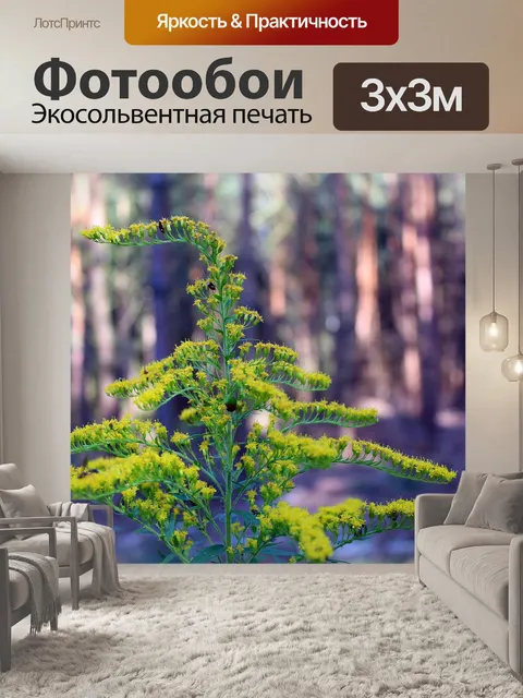 Фотообои Золотарник