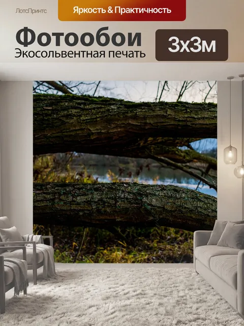 Фотообои Деревья