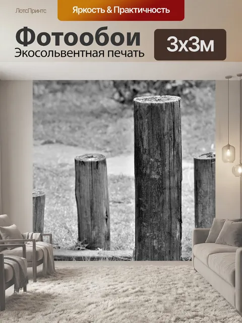 Фотообои черно-белые столбы