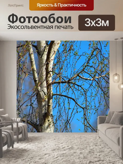 Фотообои Природа