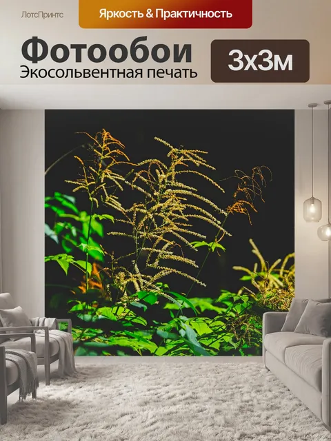 Фотообои Трава
