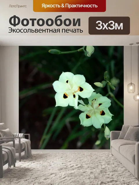 Фотообои Цветы
