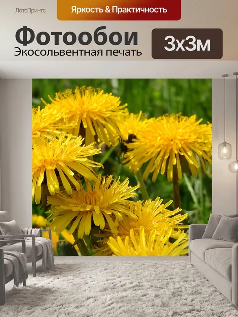 Фотообои Одуванчик