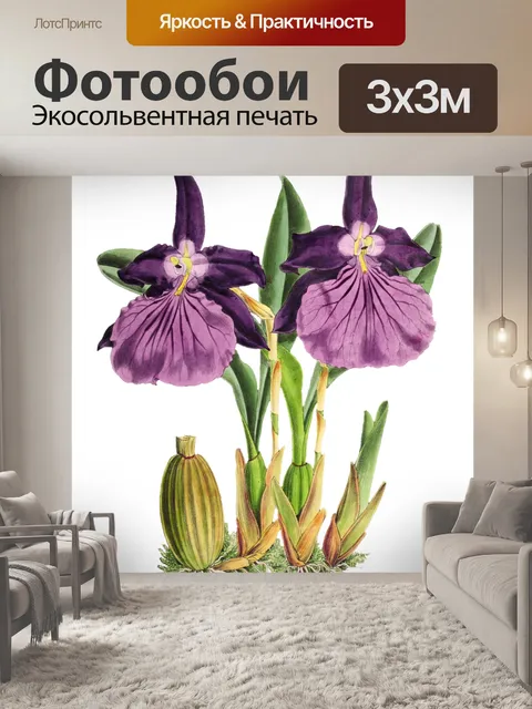 Фотообои Цветок орхидеи прозрачный