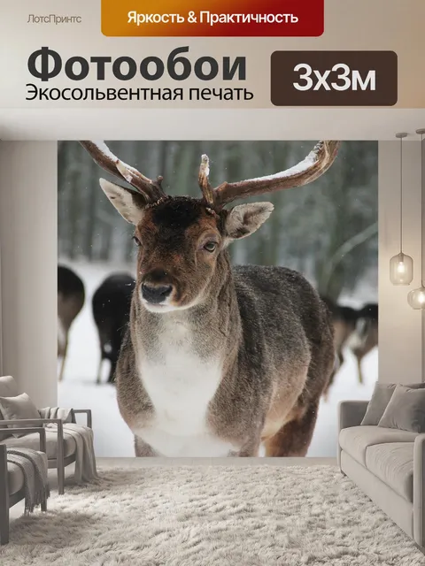 Фотообои Лес