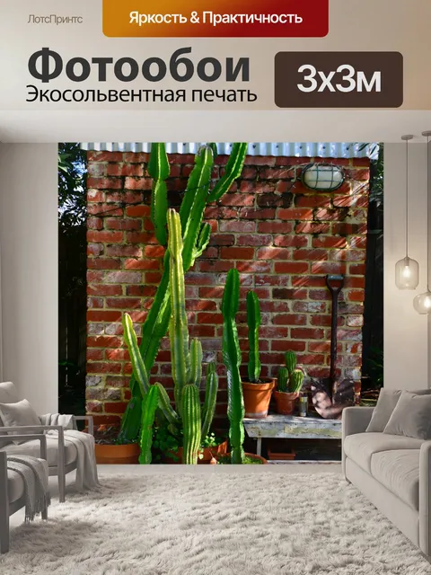Фотообои Кактус