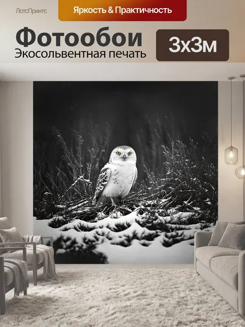Фотообои снежная сова, прячущаяся среди остатков летней растительности, практически сливается с поверхностью снега…
