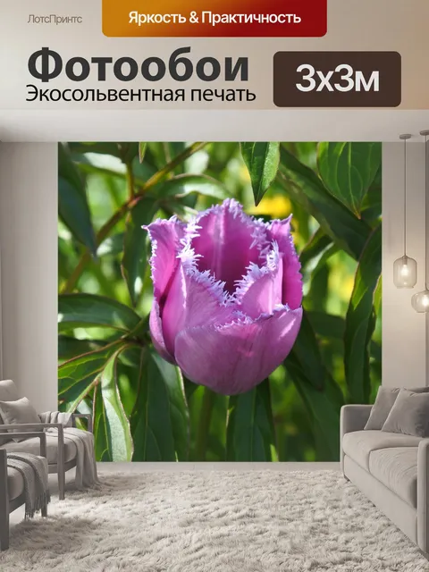 Фотообои Трава