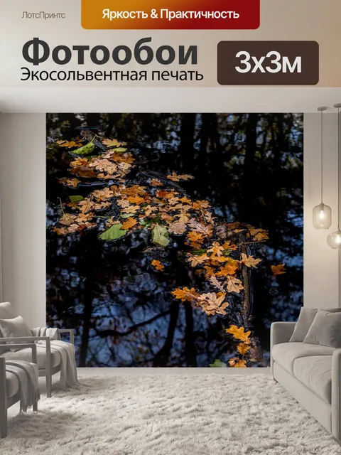 Фотообои Осень