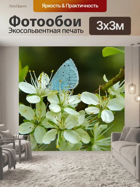 Фотообои Голубоватый