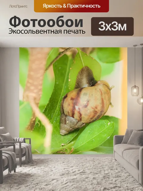 Фотообои Сад