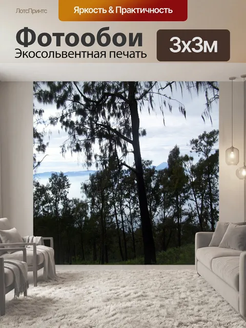 Фотообои Лес