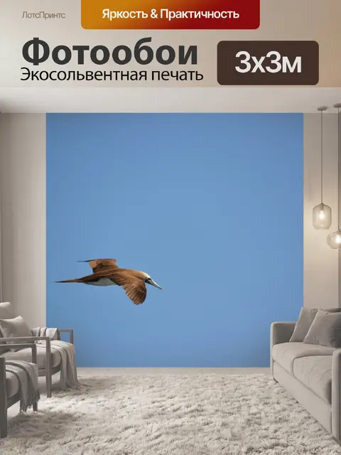 Фотообои Птицы