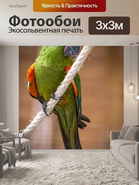 Фотообои Зеленая ара