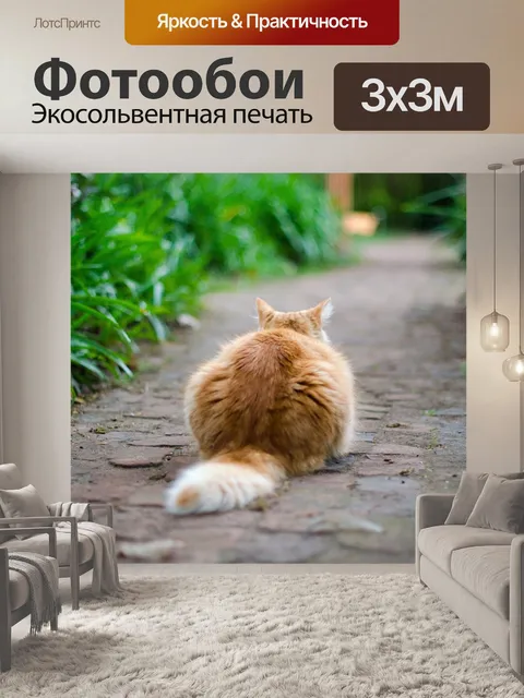 Фотообои Кошка