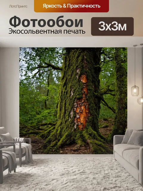 Фотообои сухое дерево, стоящее в густом лесу, обвито мхом и лианами, словно сохранившее память о былых временах