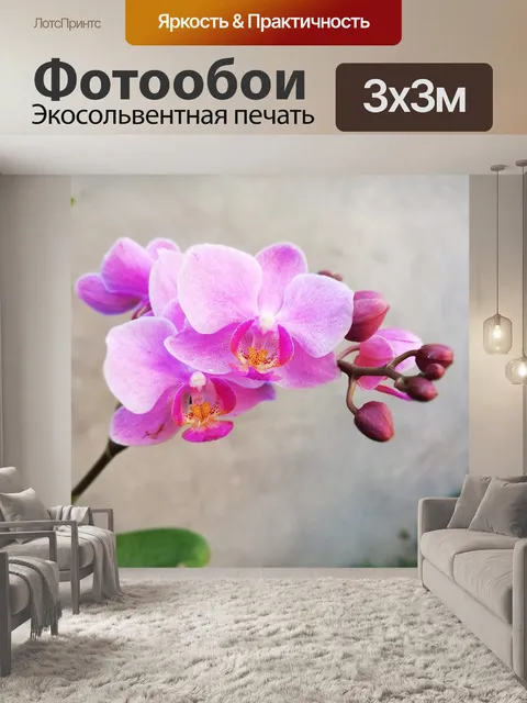Фотообои Орхидея