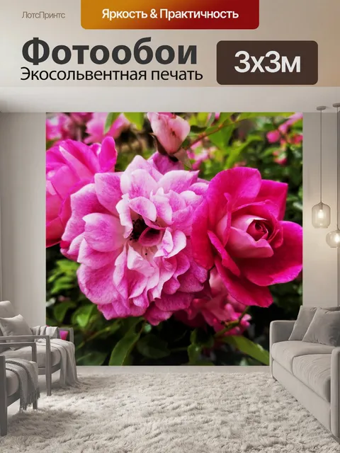 Фотообои Распыление розовых роз
