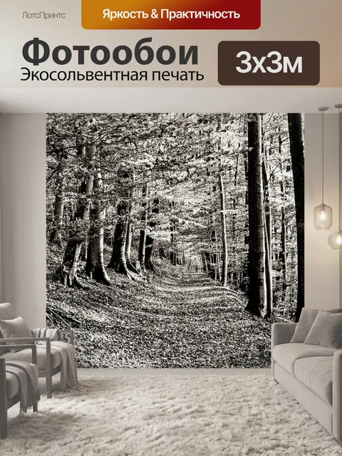 Фотообои Лес