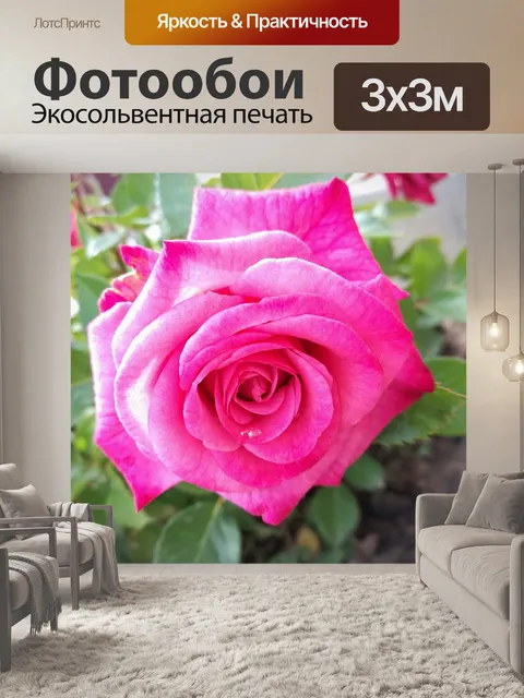 Фотообои Роза