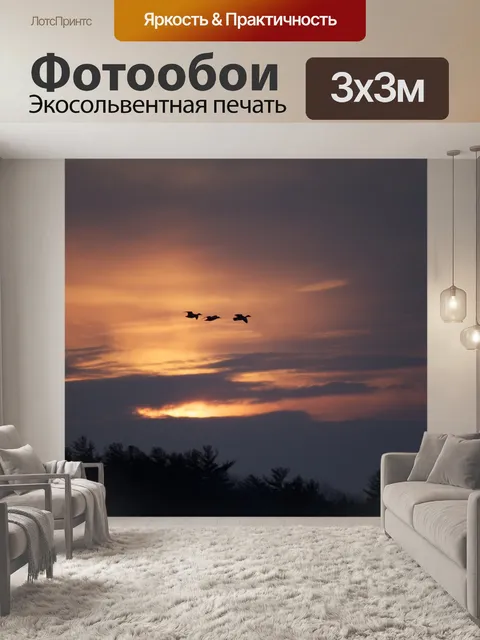 Фотообои Птицы