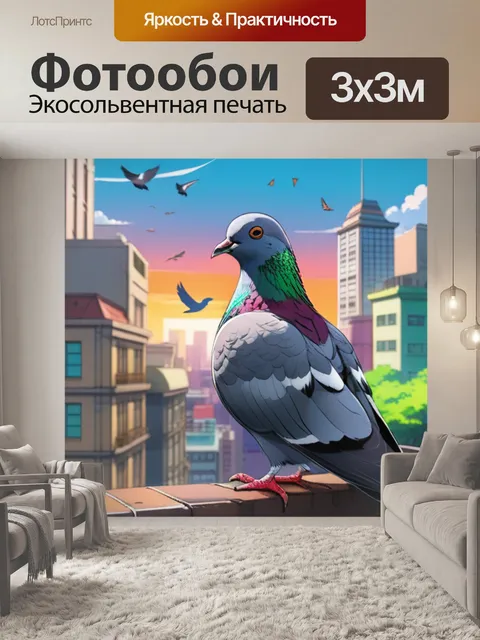 Фотообои голубь в городе