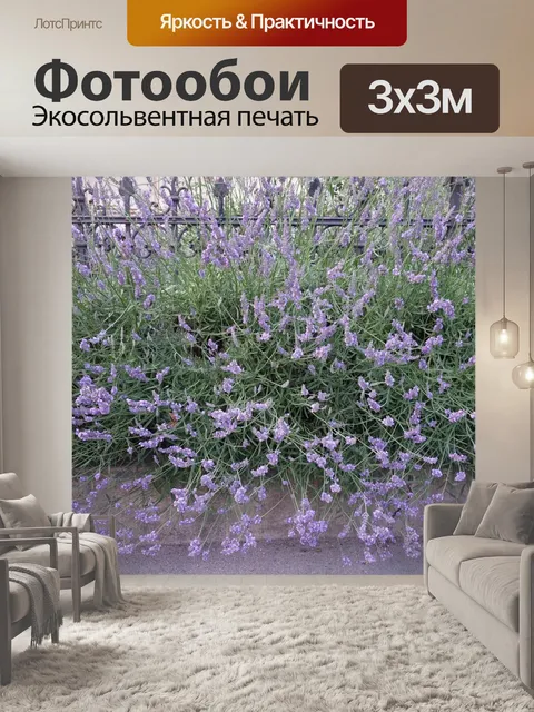 Фотообои Лаванда
