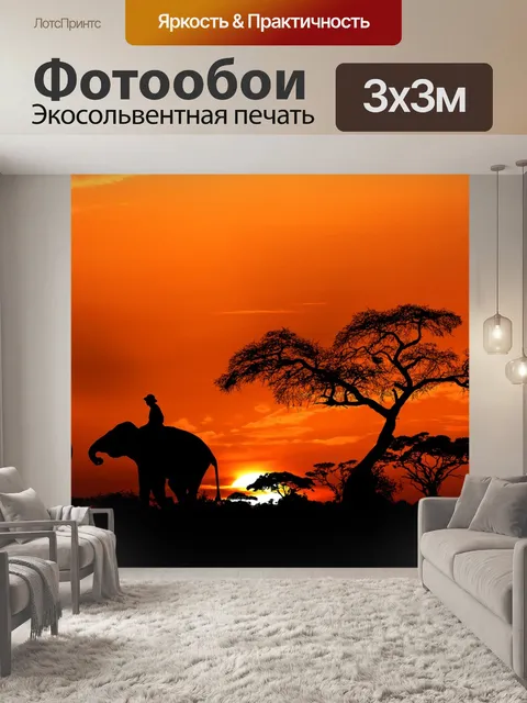Фотообои Заход солнца
