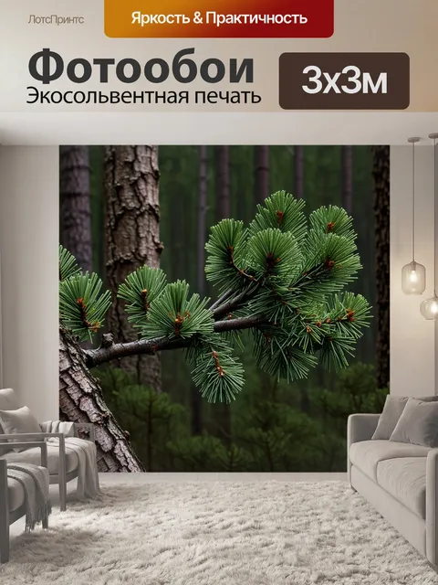 Фотообои неприступные просторы соснового леса, где воздух наполнен свежестью и прохладой