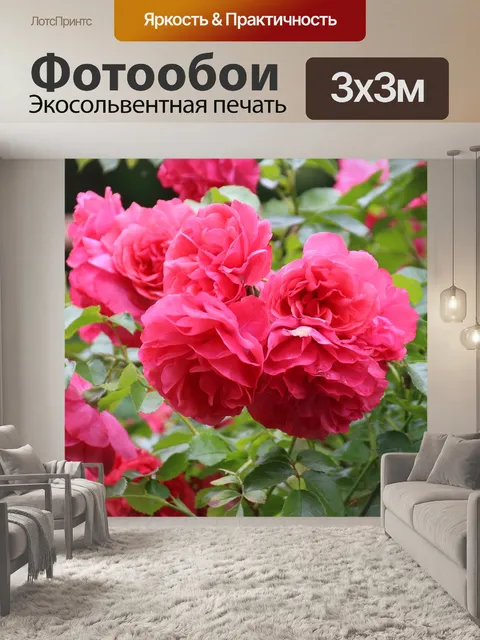 Фотообои Розы