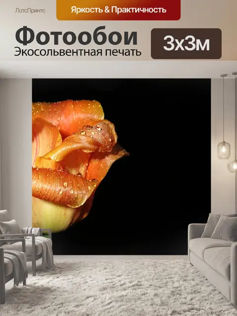 Фотообои Тюльпан