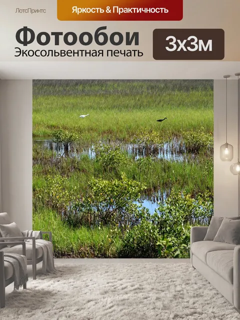 Фотообои Флорида Маршленд Дикая природа