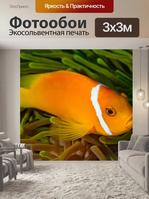 Фотообои Рыба