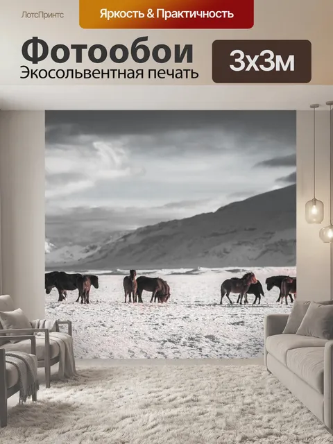 Фотообои Лошади