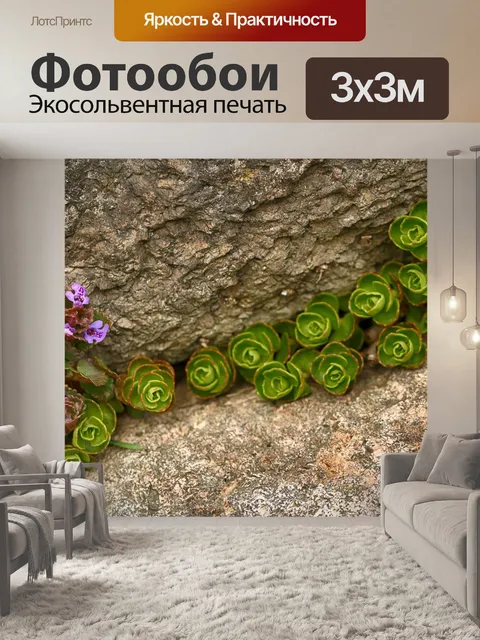 Фотообои Цветок