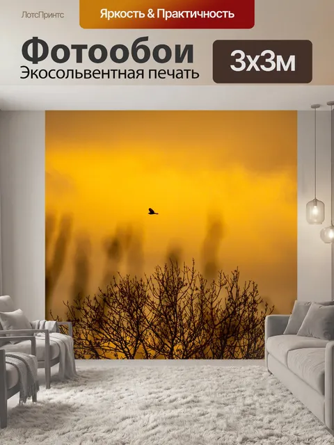 Фотообои Птицы